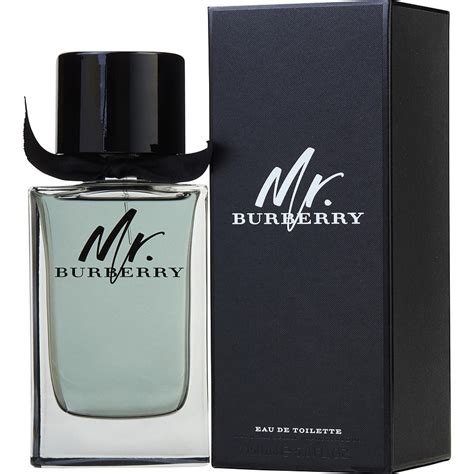 mr burberry eau de toilette 30ml|mr burberry indigo 100ml.